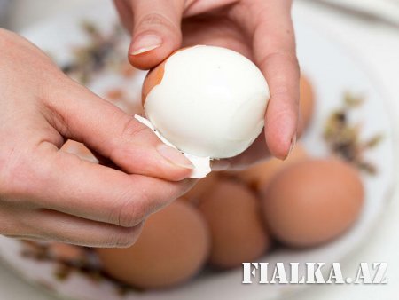 Yumurtanın faydaları və zərəri